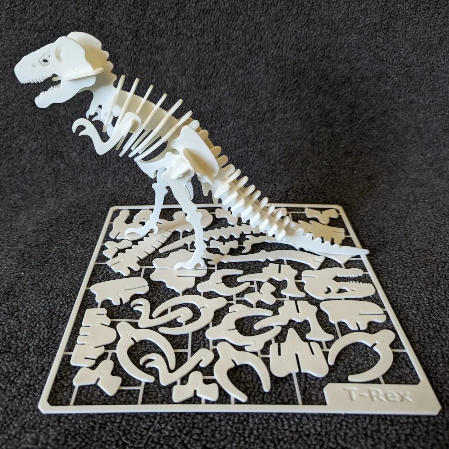 Esqueleto de T-Rex – Kit de Montar em Cartão 3D