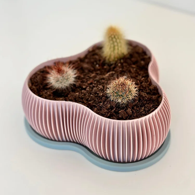 Plantador para Suculentas 